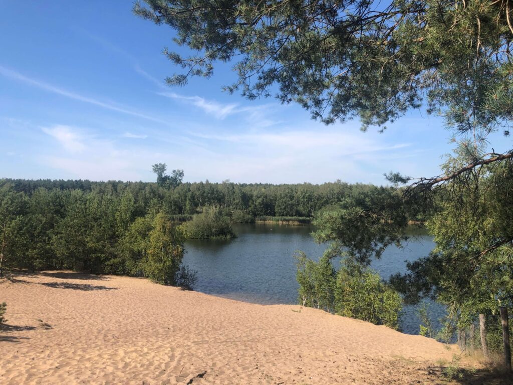 Paysage du Sahara de Lommel en Belgique