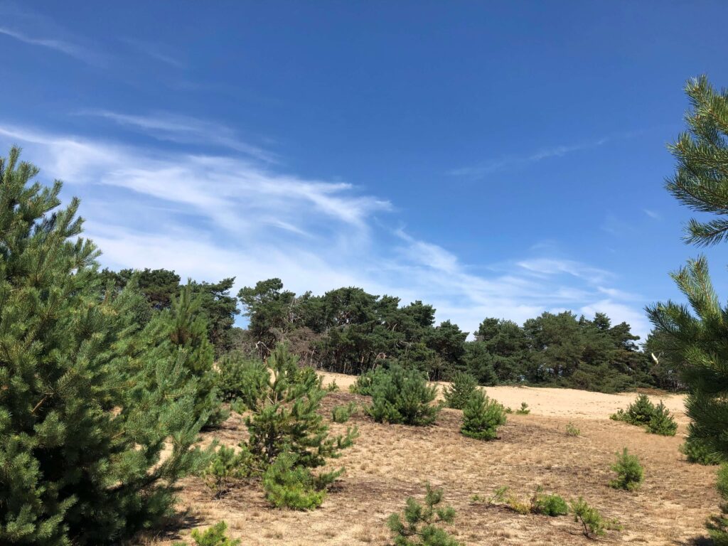 Sable et ciel bleu au Sahara de Lommel en belgique