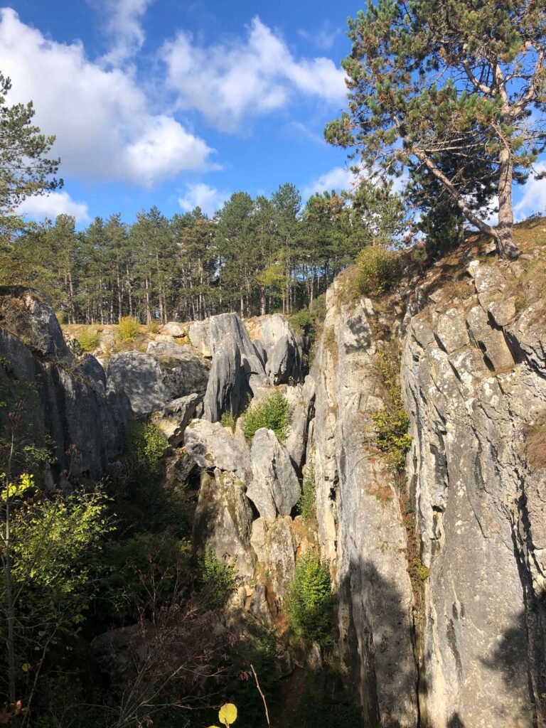 Faille Fondry les chiens, nisme, Belgique randonnée