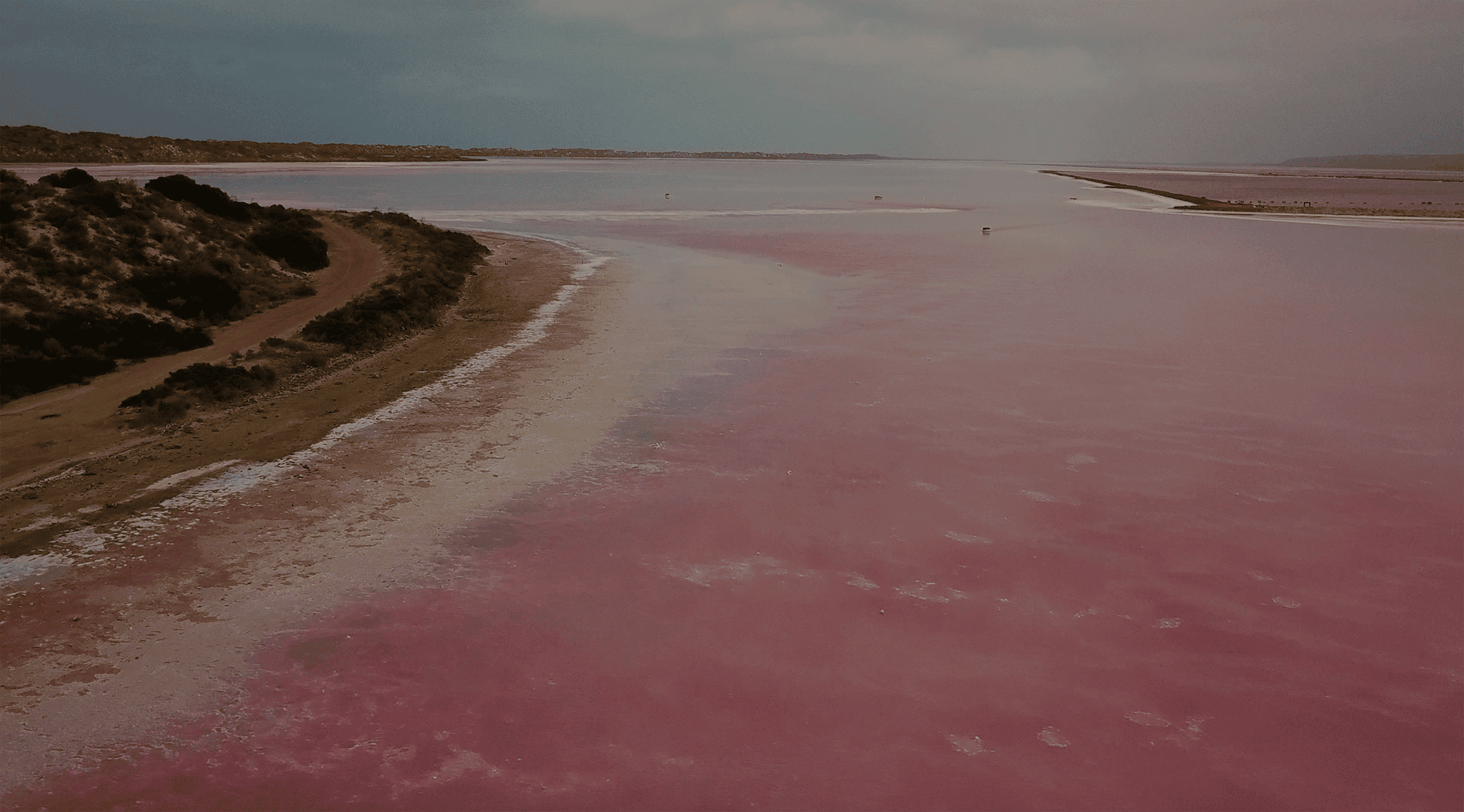 Hutt Lagoon_australie_voyage_cote ouest_unique_australie