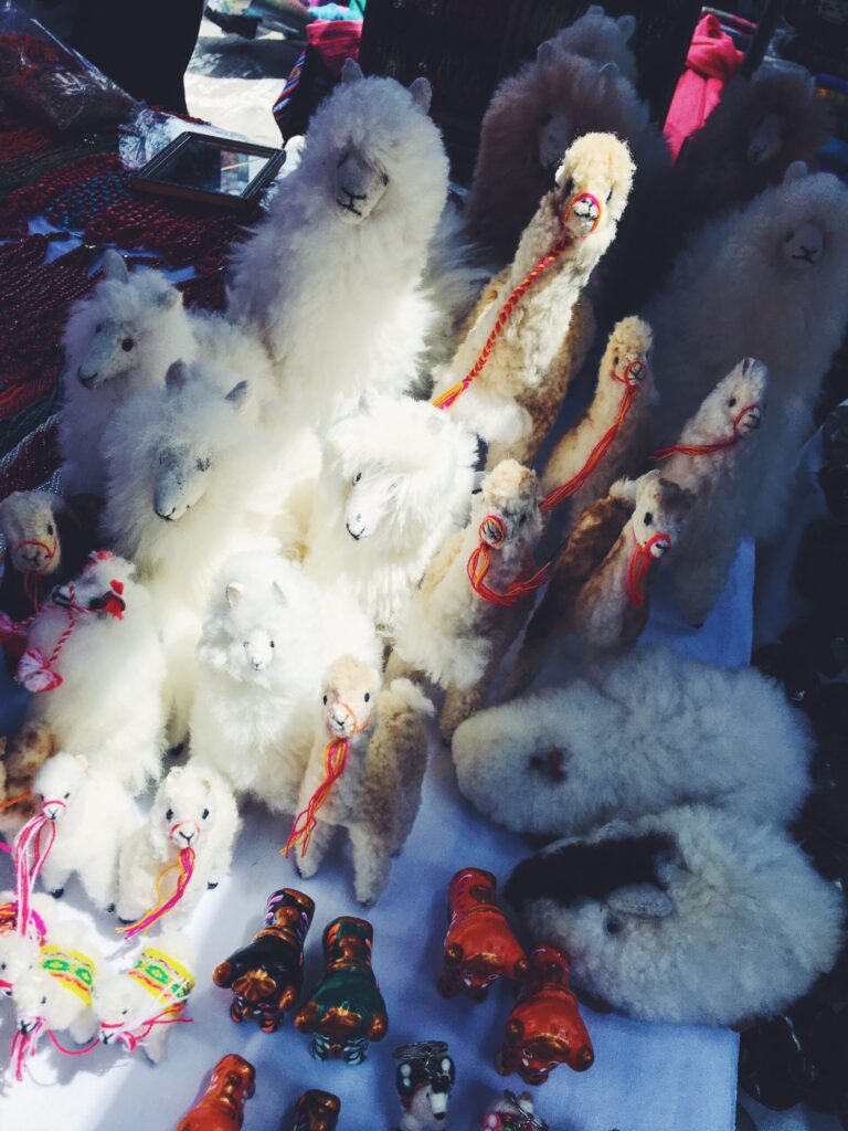 One-Life-One-Travel-blog-Voyage-Tour-du-monde-Equateur-marche-otavalo-amerique-latine-cotton