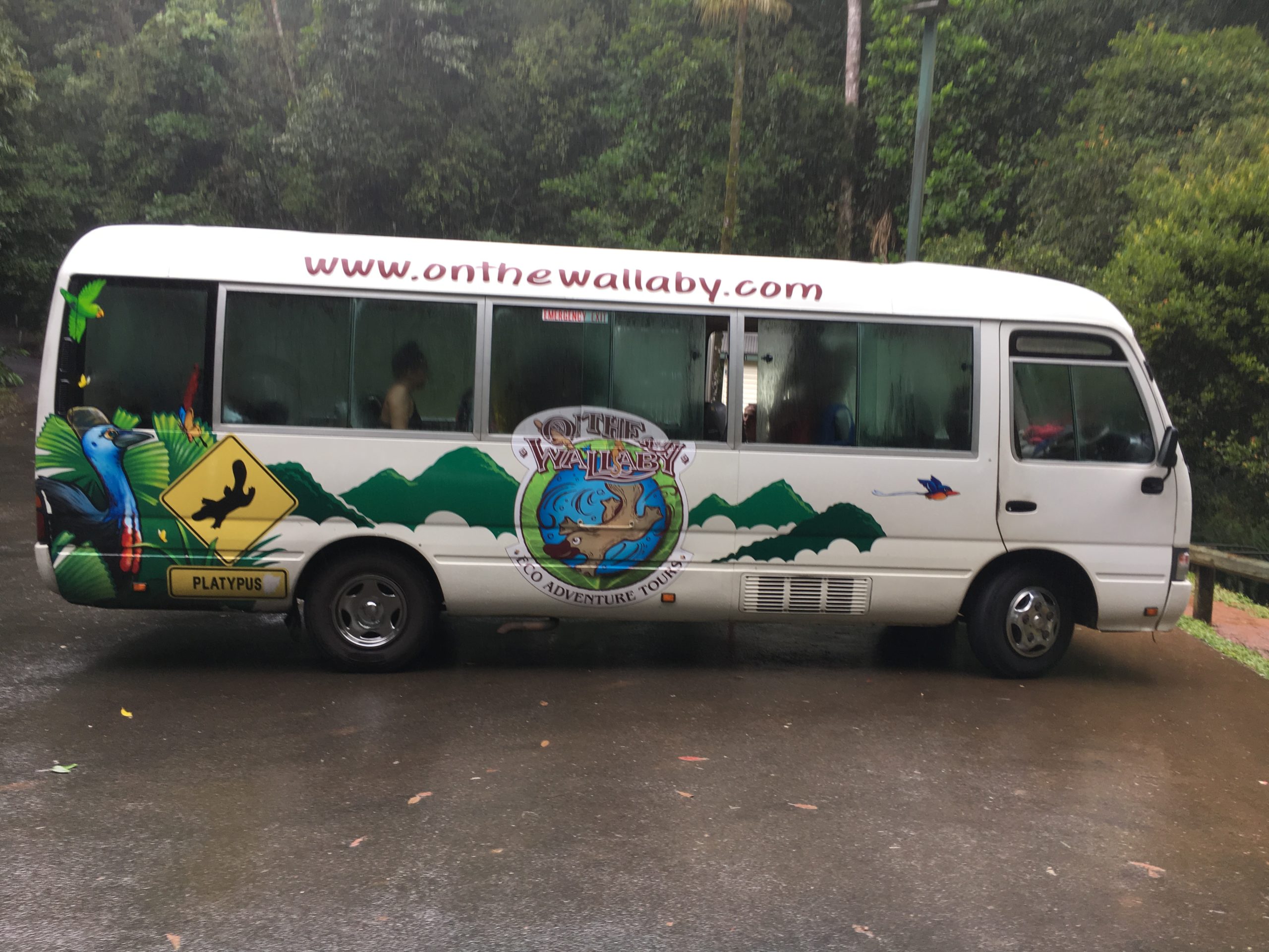 cairns_Australie_voyage_backpackers