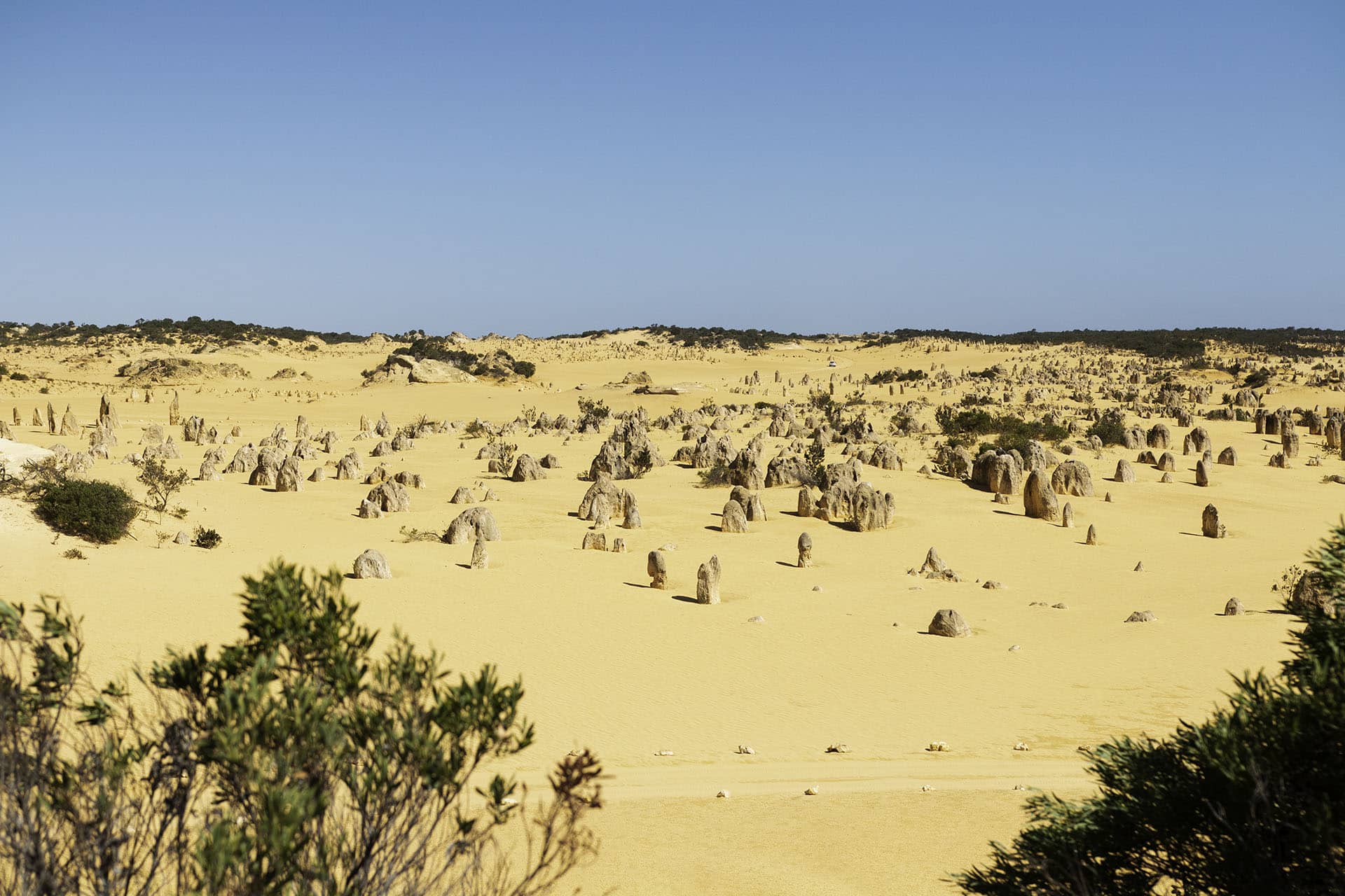 Pinnacles Desert_australie_cote ouest_voyage_alone_trvael_cotes oest