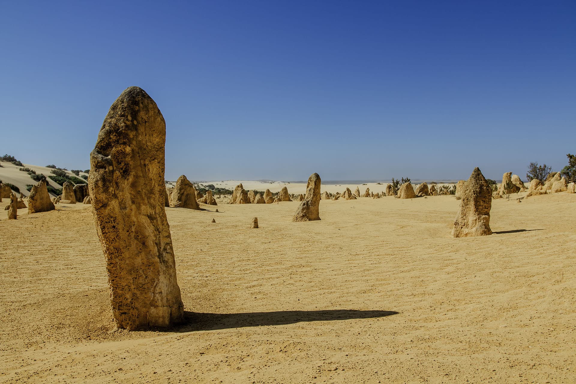 Pinnacles Desert_australie_cote ouest_voyage_alone_trvael_cotes oest