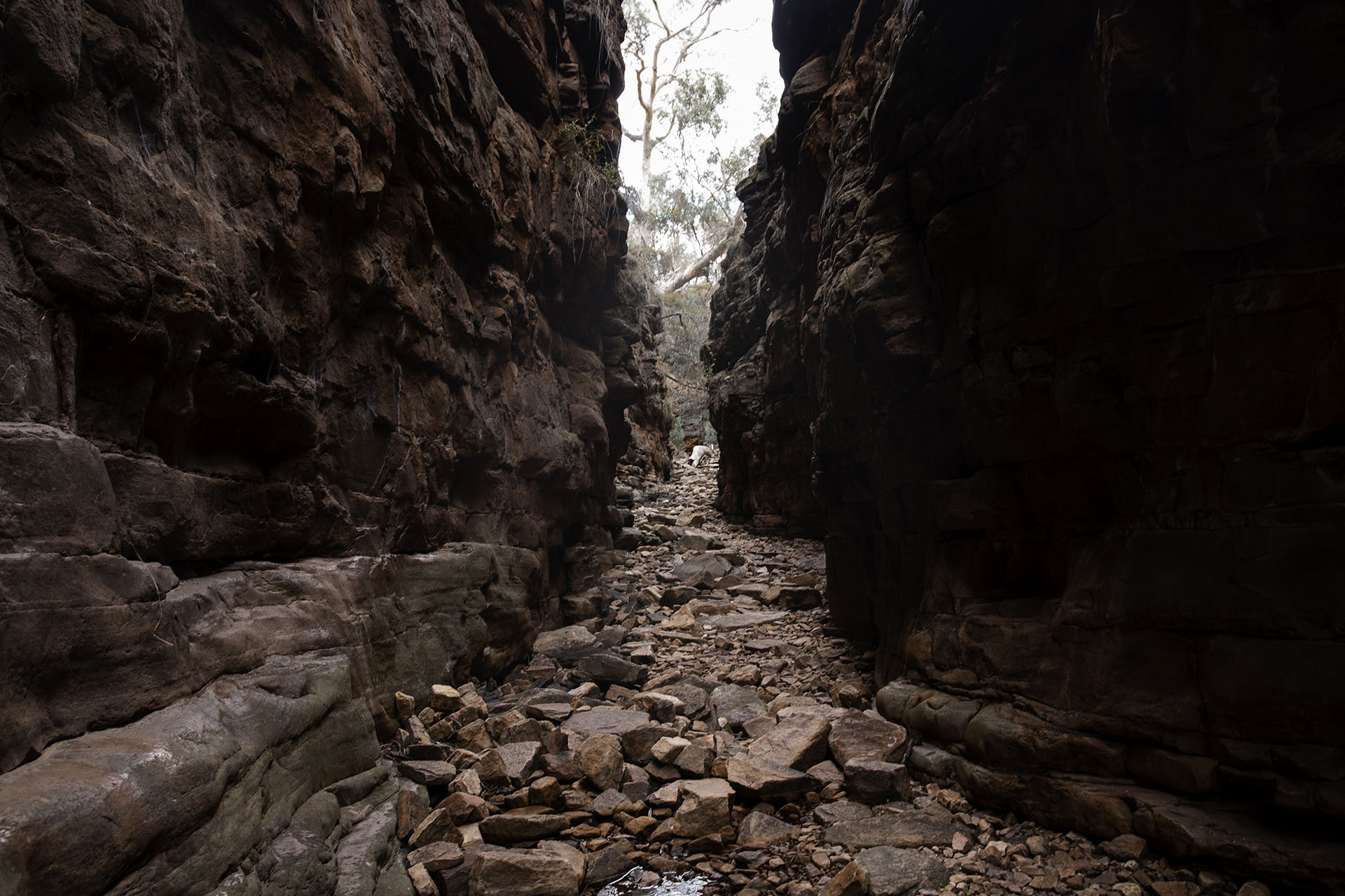 aligatore gorge_australie_voyage_backpakers_unique_seul