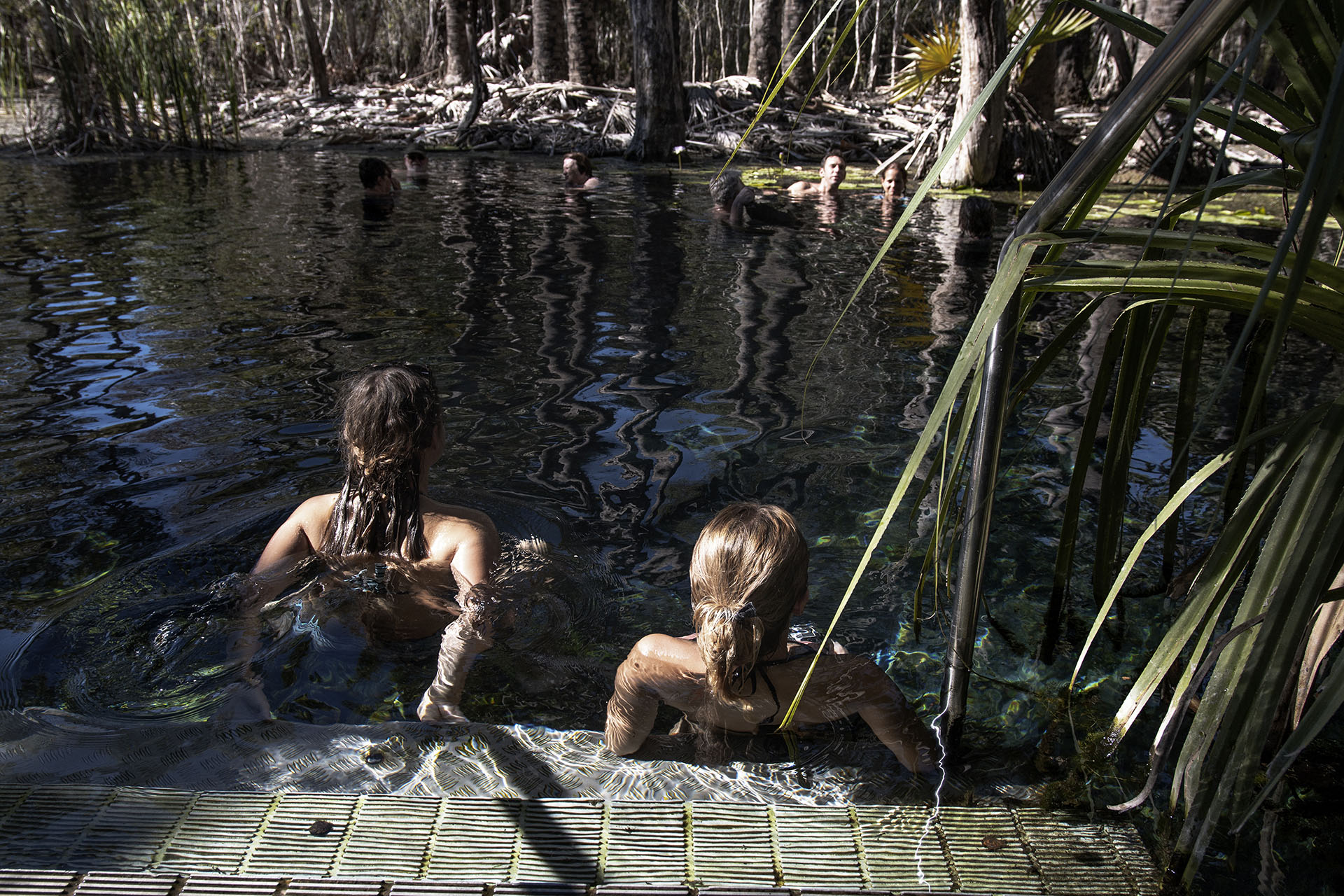 Sources chaudes de Mataranka_mataranka_voyage_travel_australie_unique_backpakers