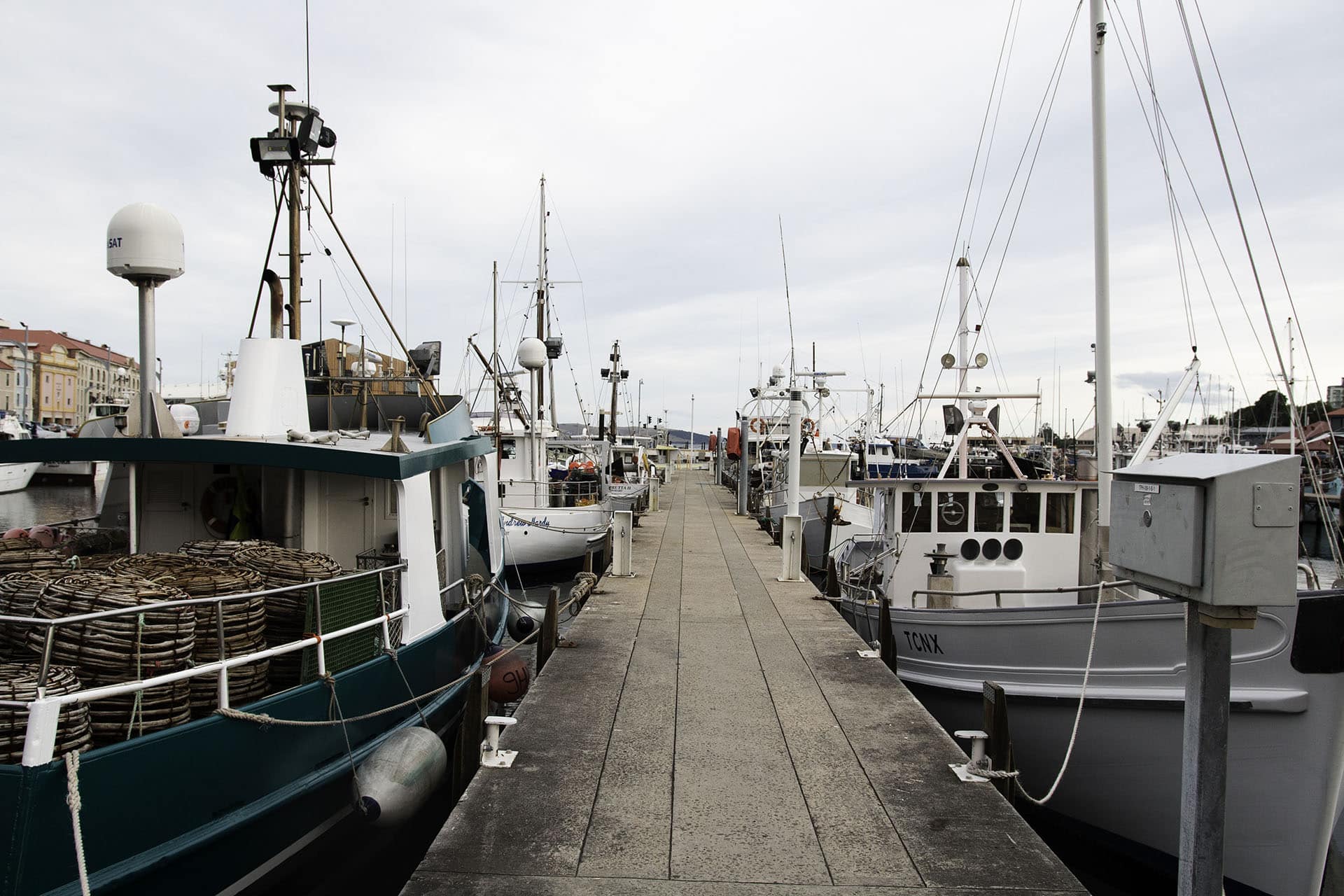 Tasmanie_voyage_asutralie_travel_Backpakers_Tasmania_voyage