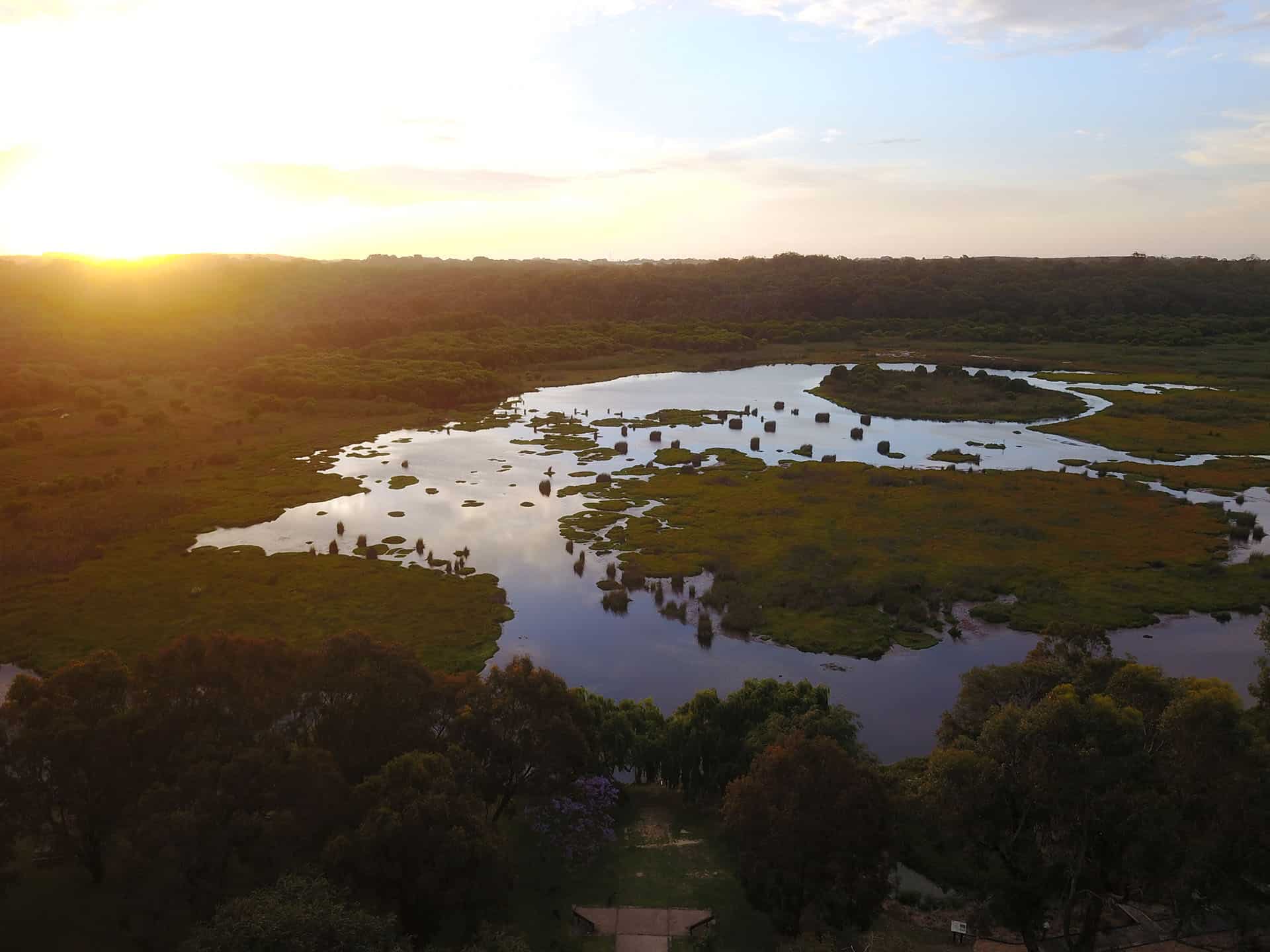Parc national de Yanchep_australie_voyage_seull-cote ouest_gael