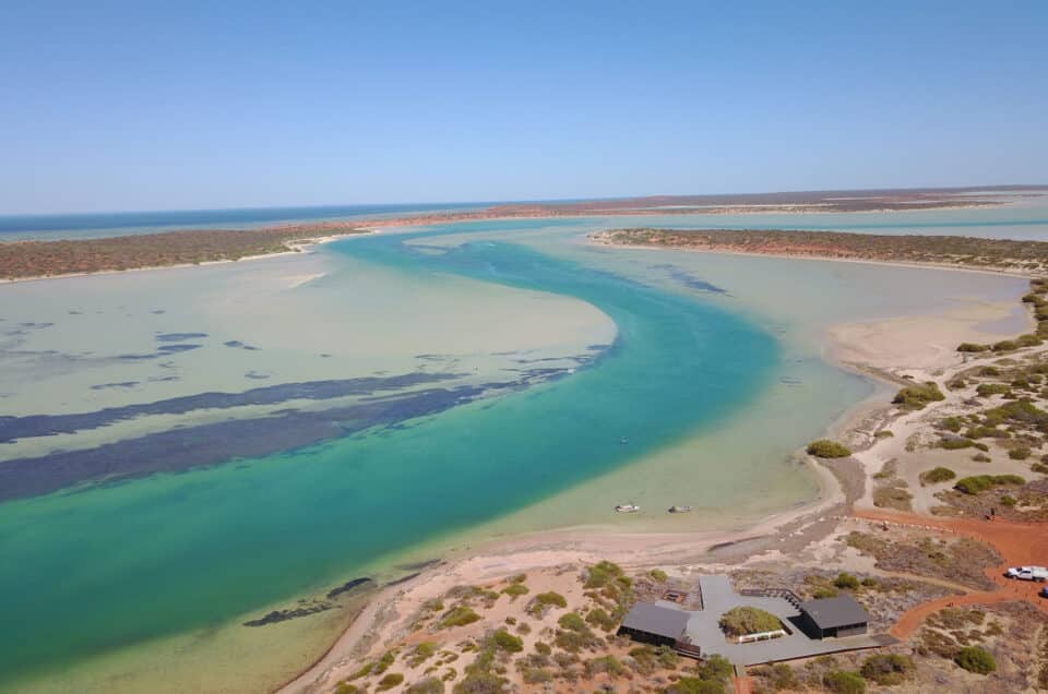 Parc François Péron_voyage_australie_backpakers_unique_voyage
