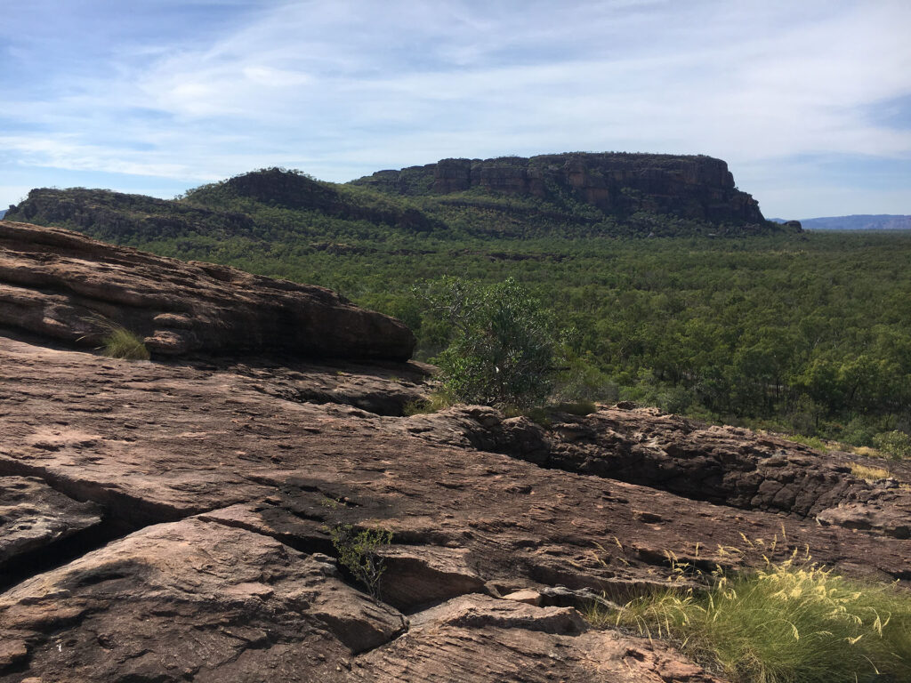 kakadu_voyage`_australie_backpakers_travel_crocodile