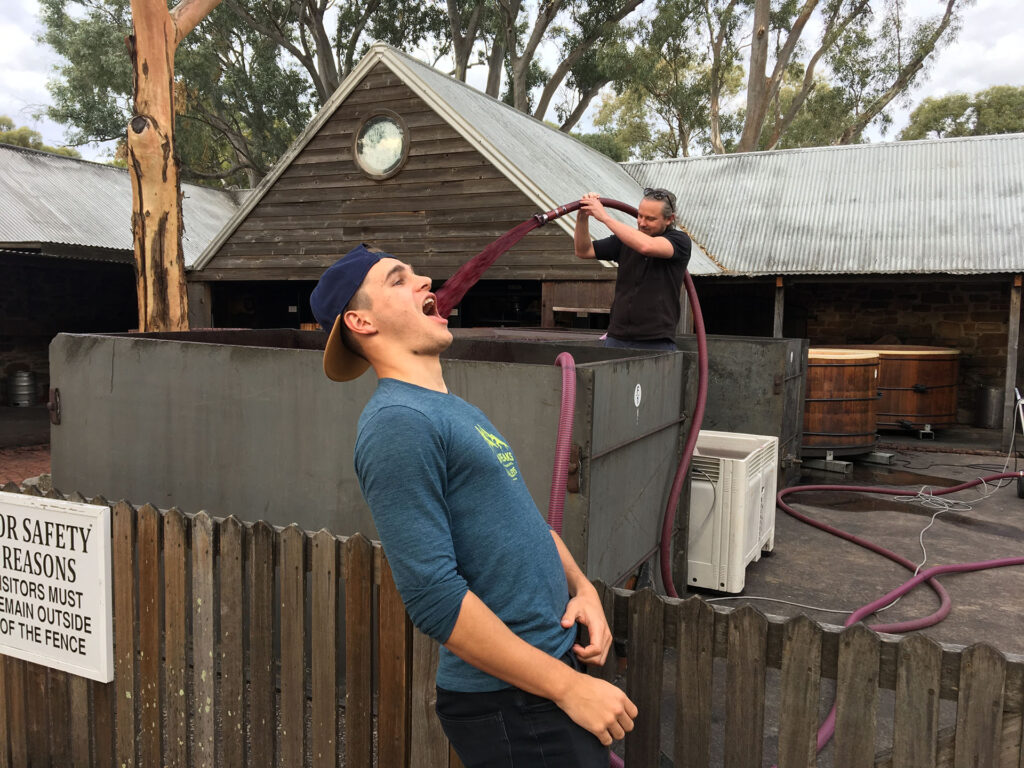 adaliede_australie_voyage_backpakers_unique_vin Australie
