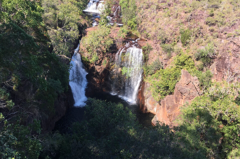 kakadu_voyage`_australie_backpakers_travel_crocodile