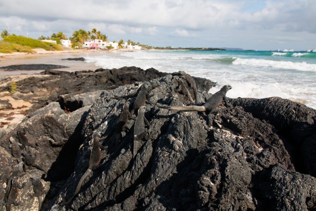galapagos_incroyable_voyage_unqiue_monde_photo