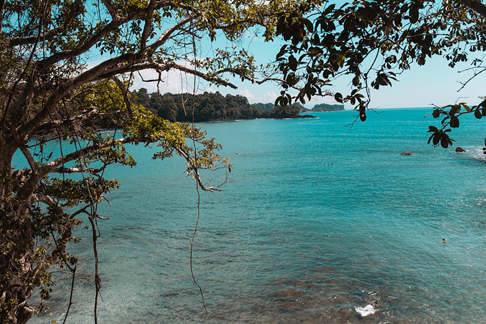parc national_costa rica_incroybale