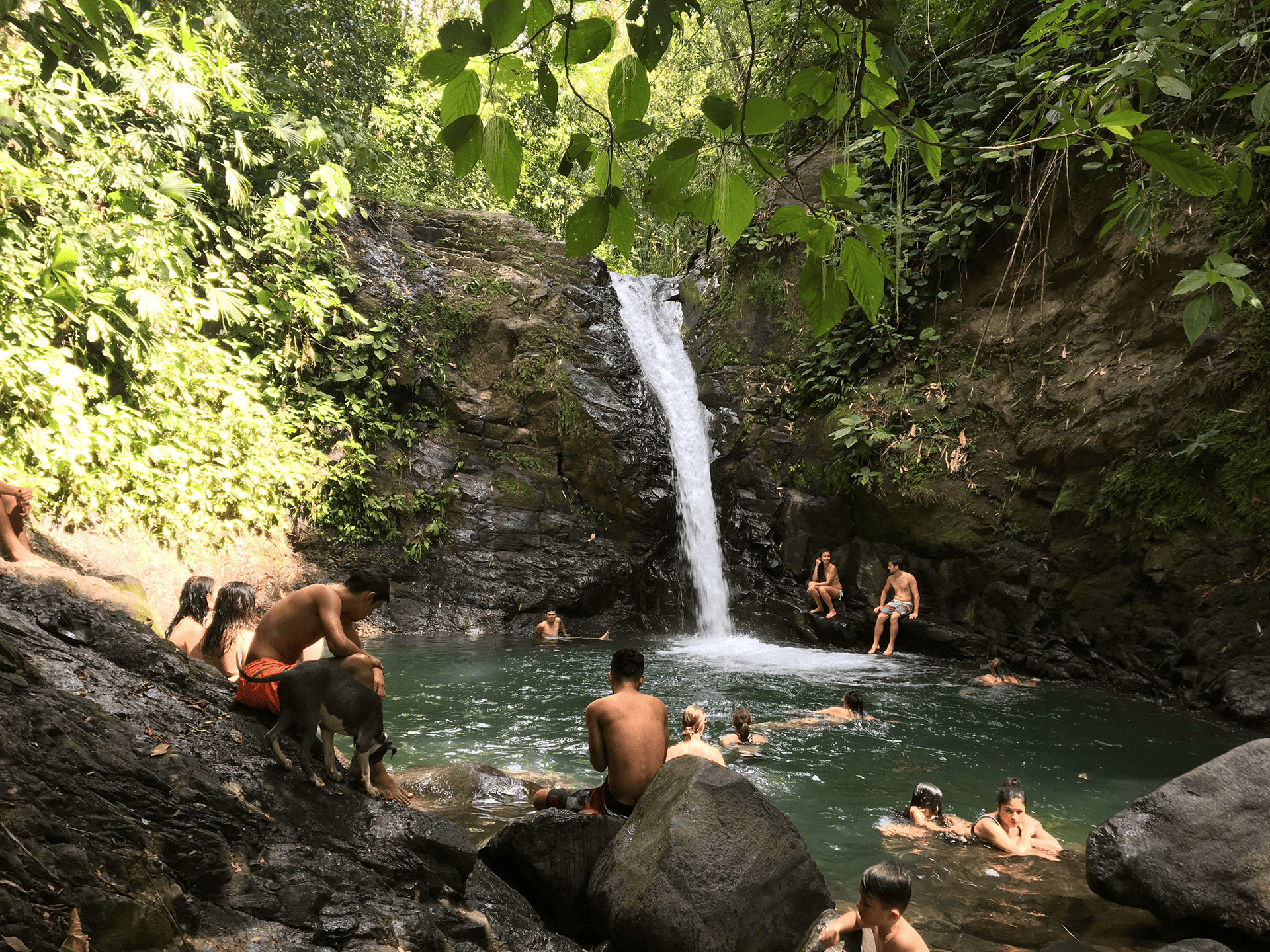 uvita_magique_queu de baleine_incroybal